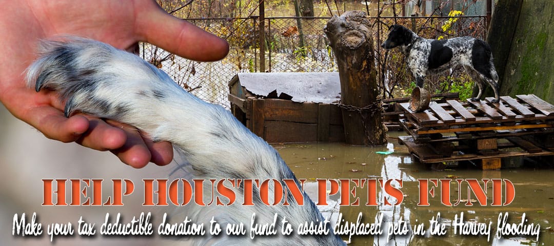 Help Houston Pets