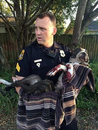 Sgt. Rich Mills carries Cabela to safety