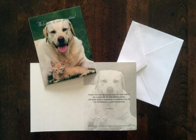Cat and Dog Welcome Cards Pack of 50