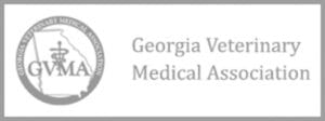GVMA