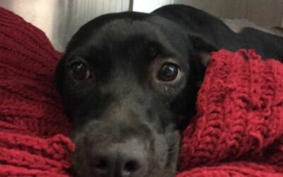 Penny’s Story