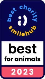SmileHub Best Charity for Animals