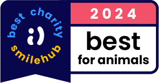 2024 Best Charity for Animals by Smile Hub