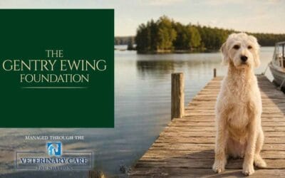 The Gentry Ewing Foundation Takes Flight