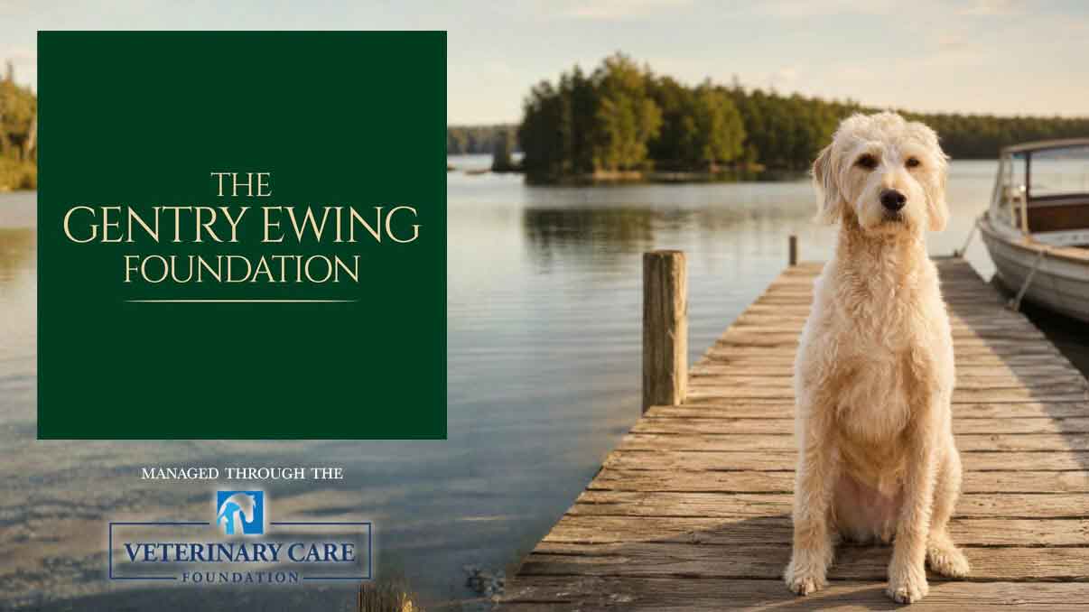 The Gentry Ewing Foundation The Gentry Ewing Foundation